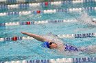 Swimming & Diving vs Babson  Swimming & Diving vs Babson College. - Photo by Keith Nordstrom : Wheaton, Swimming